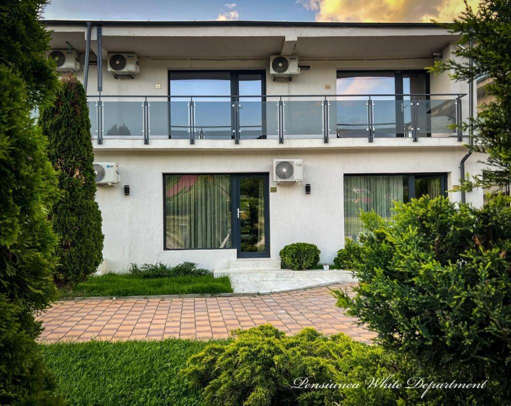Pensiunea White Department Vladesti Exterior photo