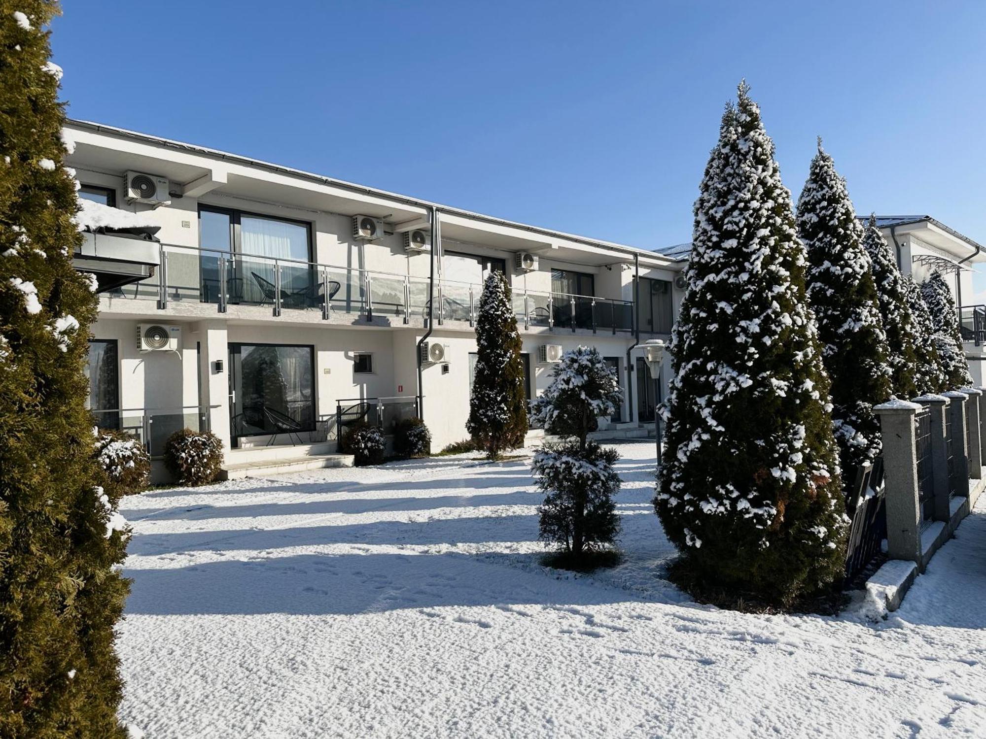 Pensiunea White Department Vladesti Exterior photo