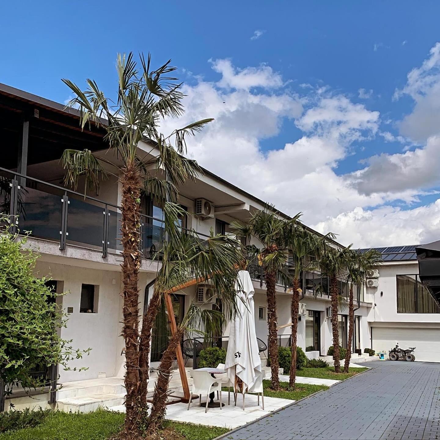 Pensiunea White Department Vladesti Exterior photo